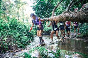 BIB: 
                            <button type="button" onclick="openModal(25435718)" class="btn btn-primary btn-sm float-right btn-popup" data-toggle="modal" data-target=".modal-high-quality">
                        <i class="fas fa-shopping-cart"></i> Add to Cart
                    </button>
                                            <button type="button" onclick="isThisMe(25435718, true)" class="btn btn-success btn-sm float-right btn-popup btn-isme hidden" data-toggle="tooltip" data-placement="bottom" title="นี่คือรูปของคุณใช่ไหม คลิกที่นี่เพื่อเอาเข้าอัลบั้ม">
                        <i class="fas fa-plus"></i> Add to album
                    </button>
                    <button type="button" onclick="isThisMe(25435718, false)" class="btn btn-warning btn-sm float-right btn-popup btn-isnotme hidden">
                        <i class="fas fa-ban"></i> Remove from album
                    </button>